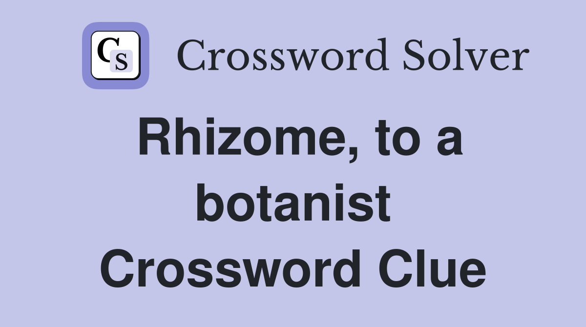 Rhizome, to a botanist Crossword Clue