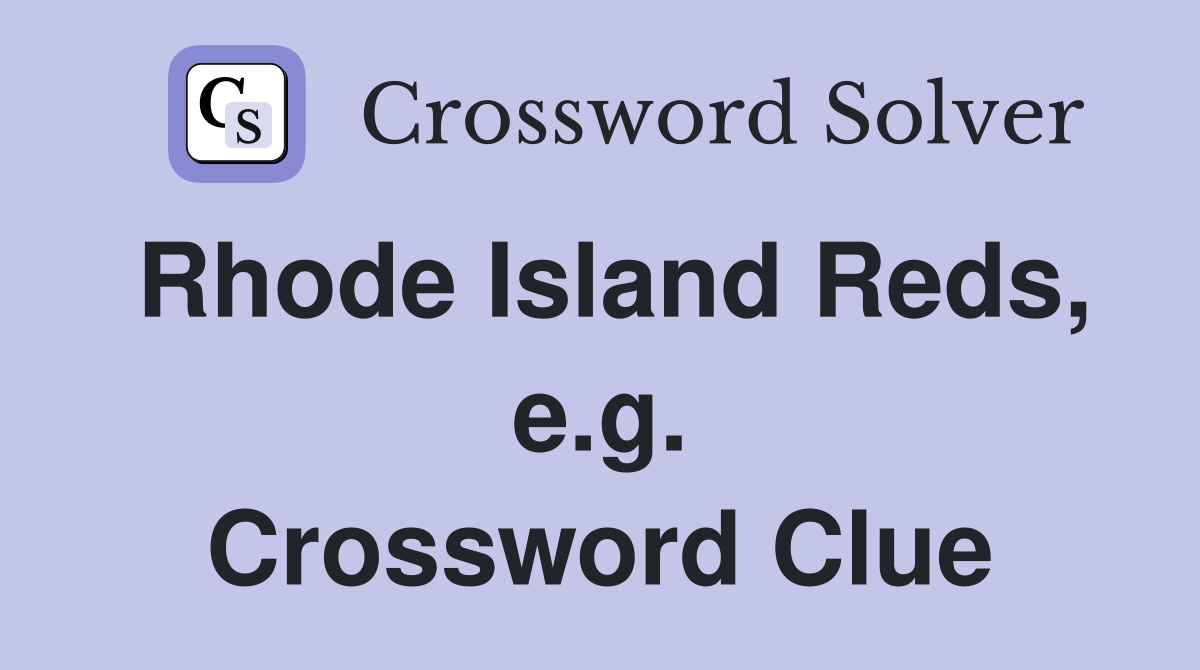 Rhode Island Reds, e.g. Crossword Clue