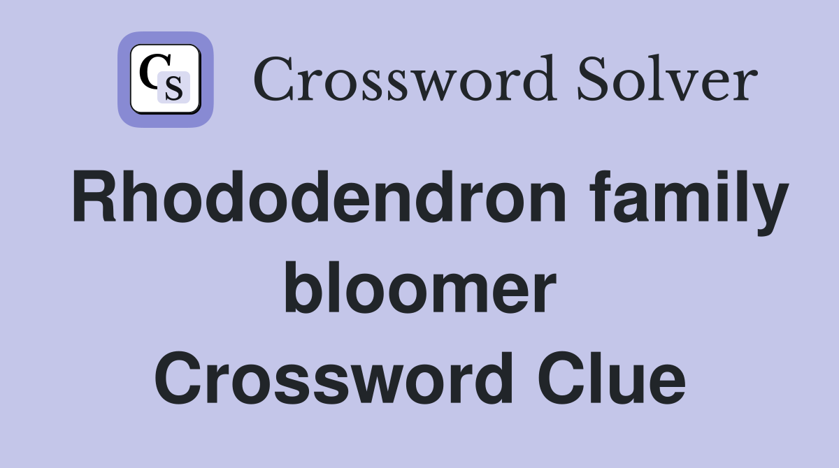 Rhododendron family bloomer Crossword Clue