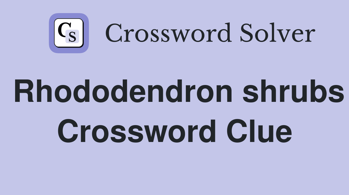 Rhododendron shrubs Crossword Clue