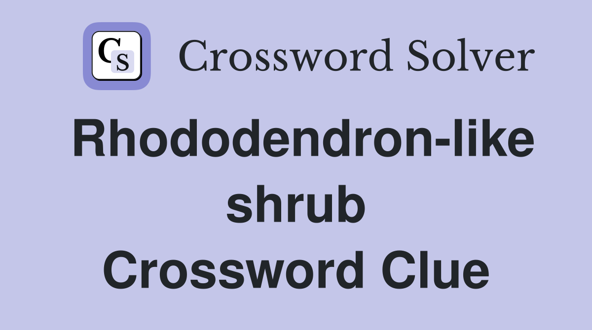 Rhododendron-like shrub Crossword Clue