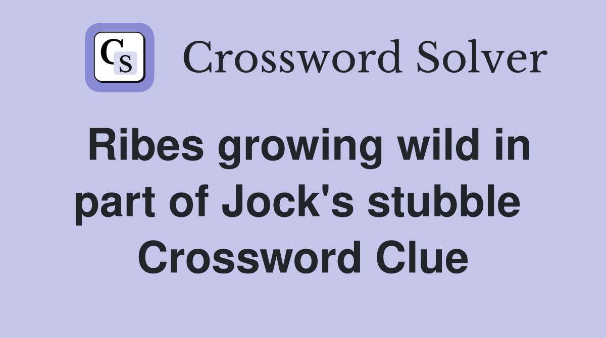 Ribes growing wild in part of Jock's stubble  Crossword Clue