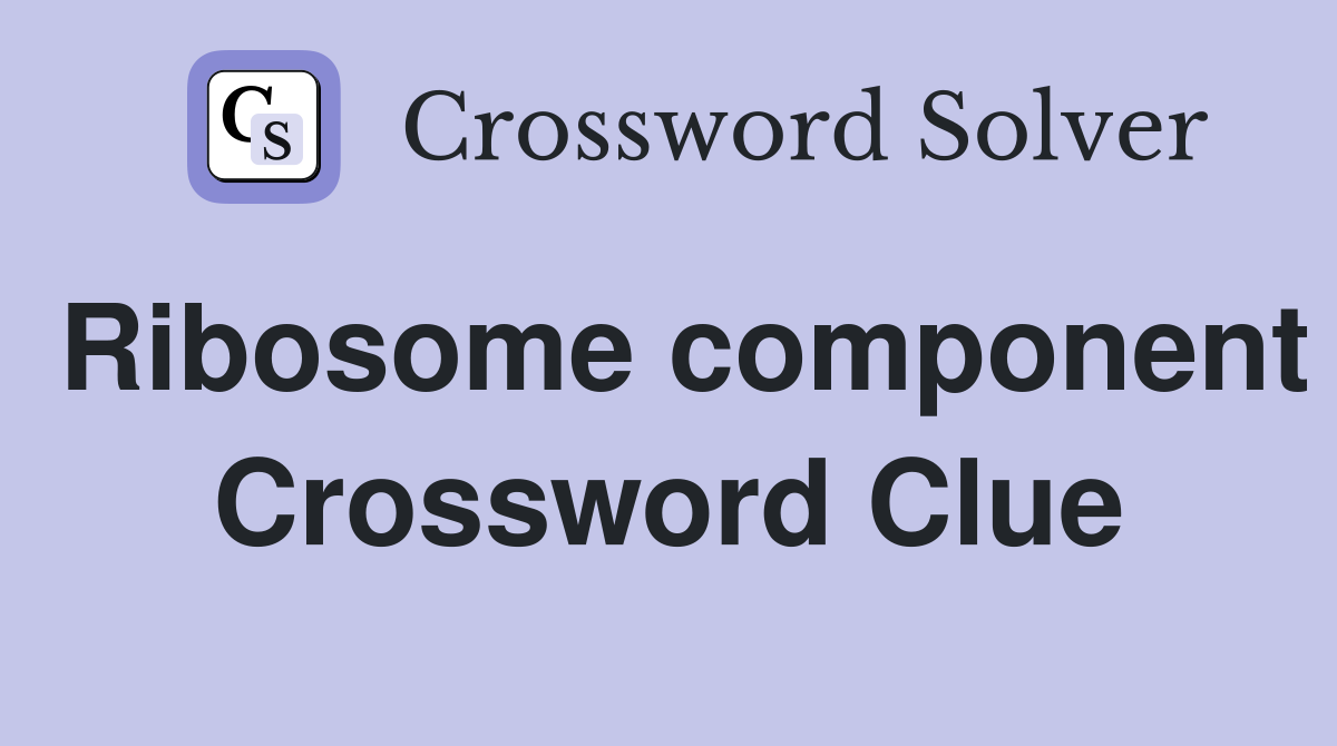 Ribosome component Crossword Clue