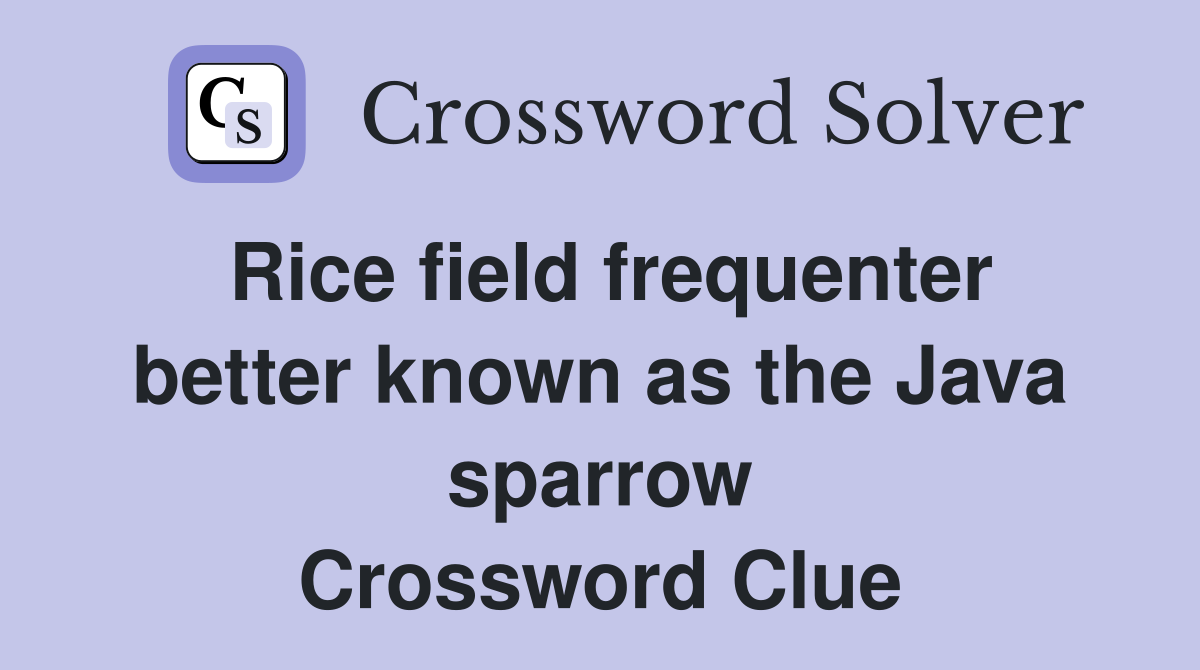 Rice field frequenter better known as the Java sparrow Crossword Clue