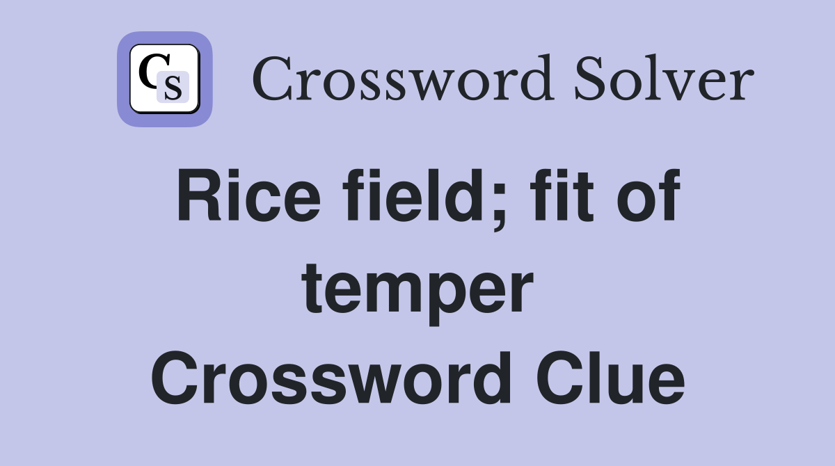 Rice field; fit of temper Crossword Clue