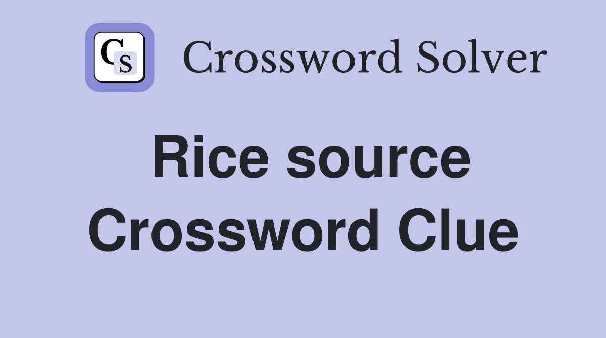 Rice source Crossword Clue