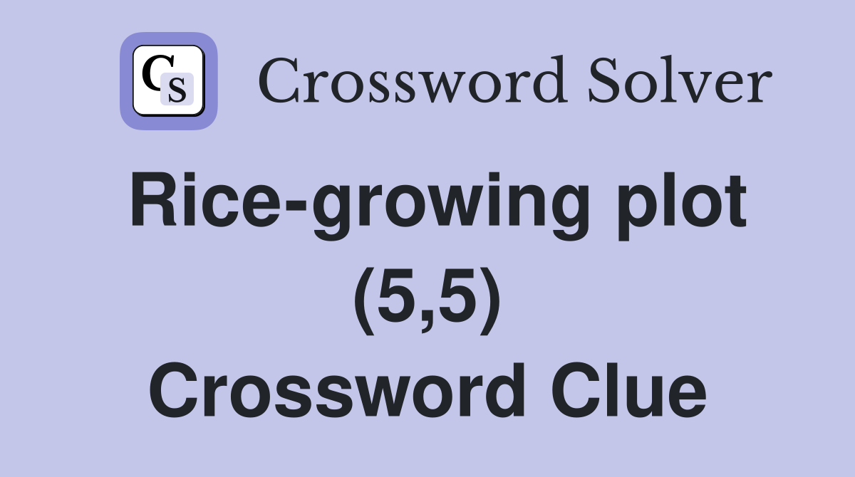 Rice-growing plot (5,5) Crossword Clue