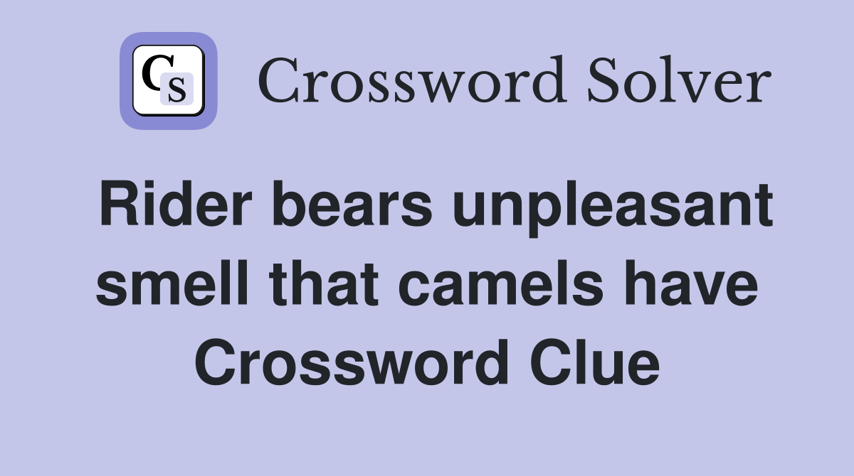 Rider bears unpleasant smell that camels have Crossword Clue