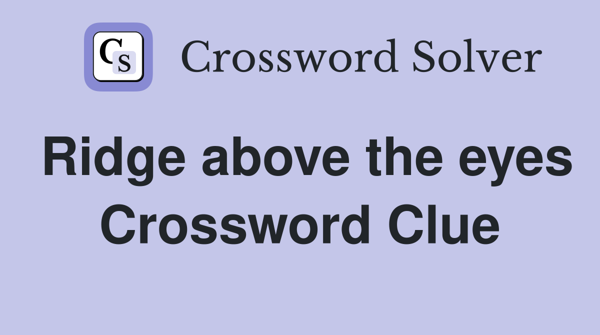 Ridge above the eyes Crossword Clue