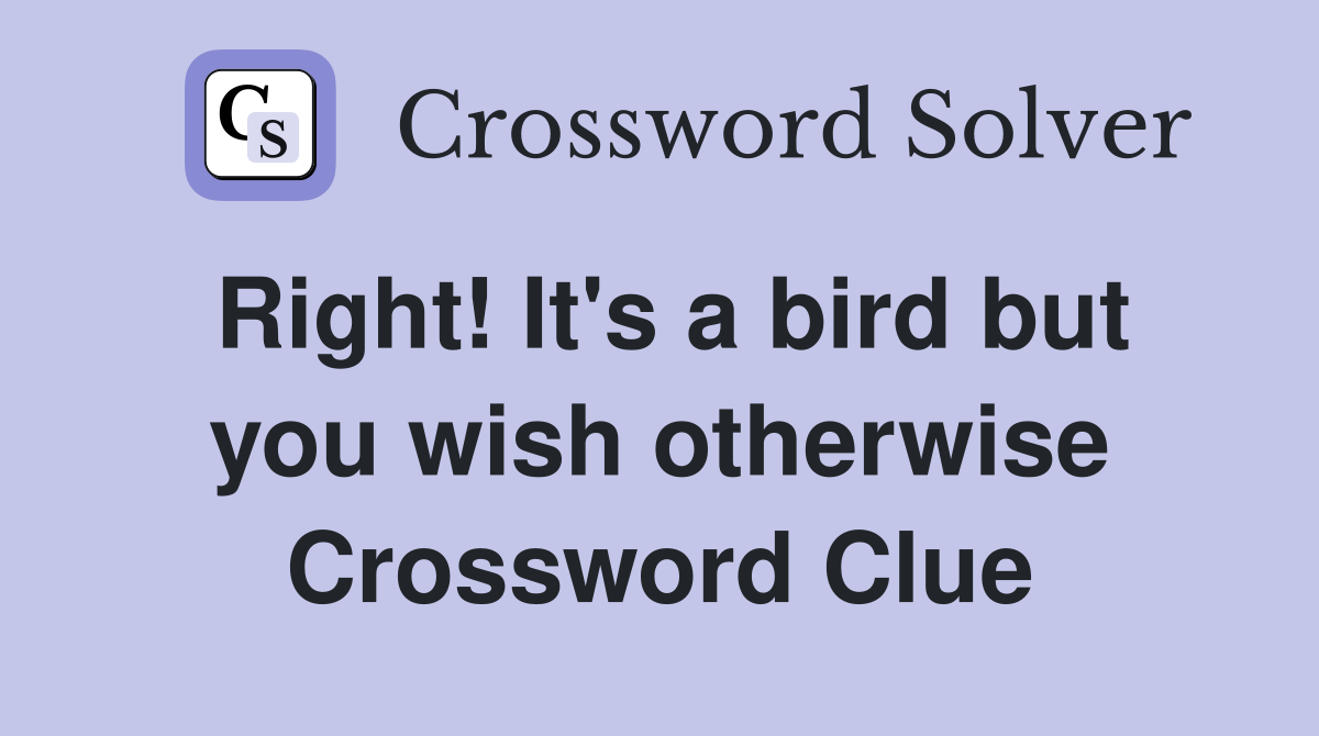 Right! It's a bird but you wish otherwise Crossword Clue