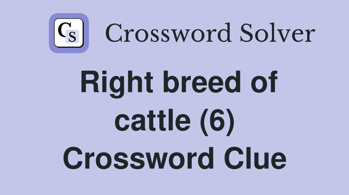 Right breed of cattle (6) Crossword Clue