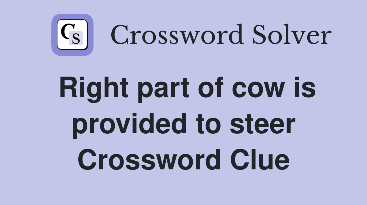 Right part of cow is provided to steer Crossword Clue