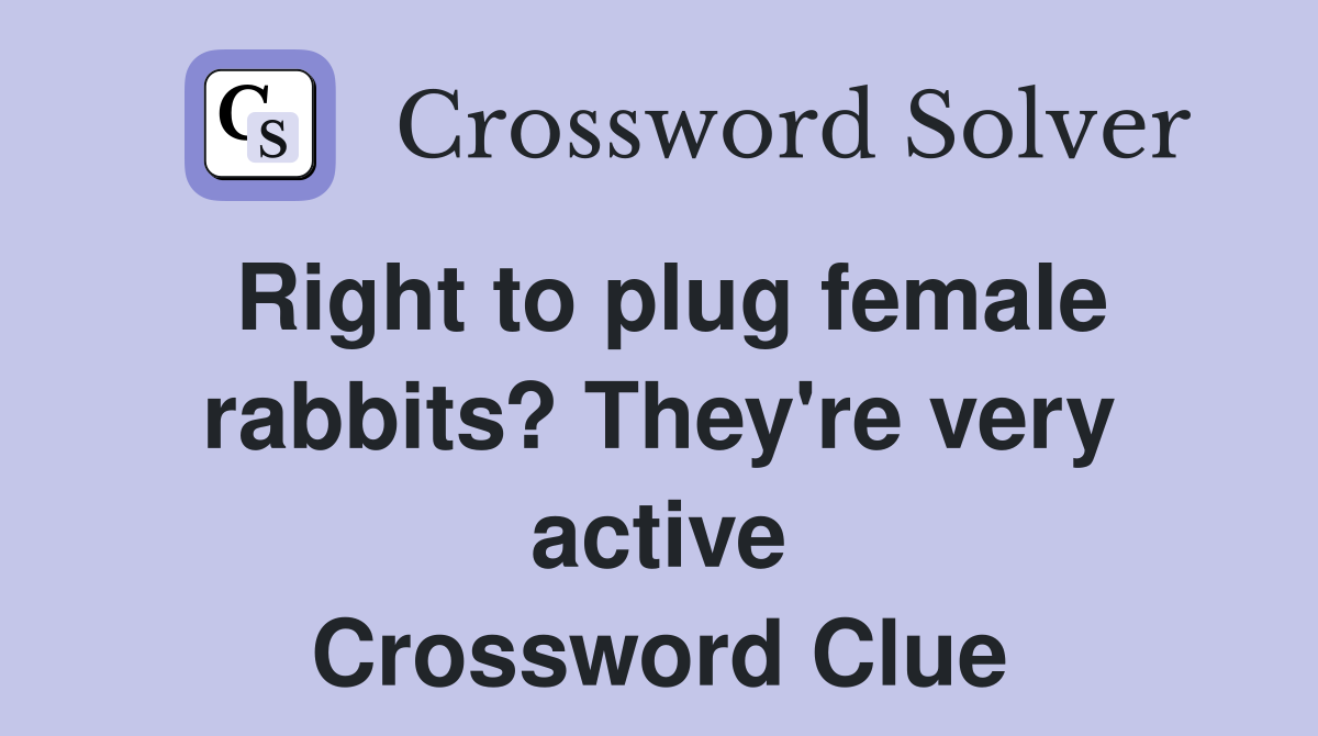 Right to plug female rabbits? They're very active Crossword Clue
