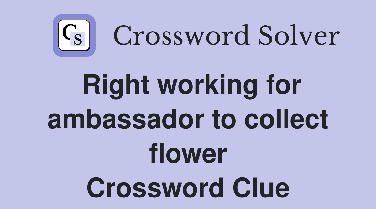Right working for ambassador to collect flower Crossword Clue