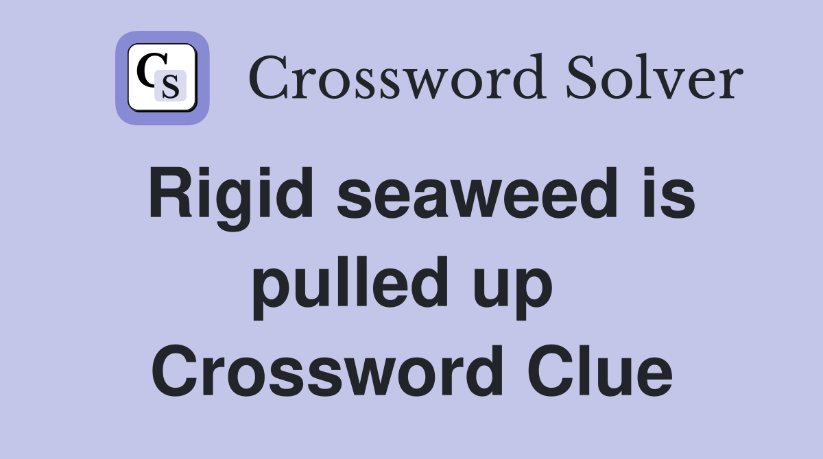 Rigid seaweed is pulled up  Crossword Clue