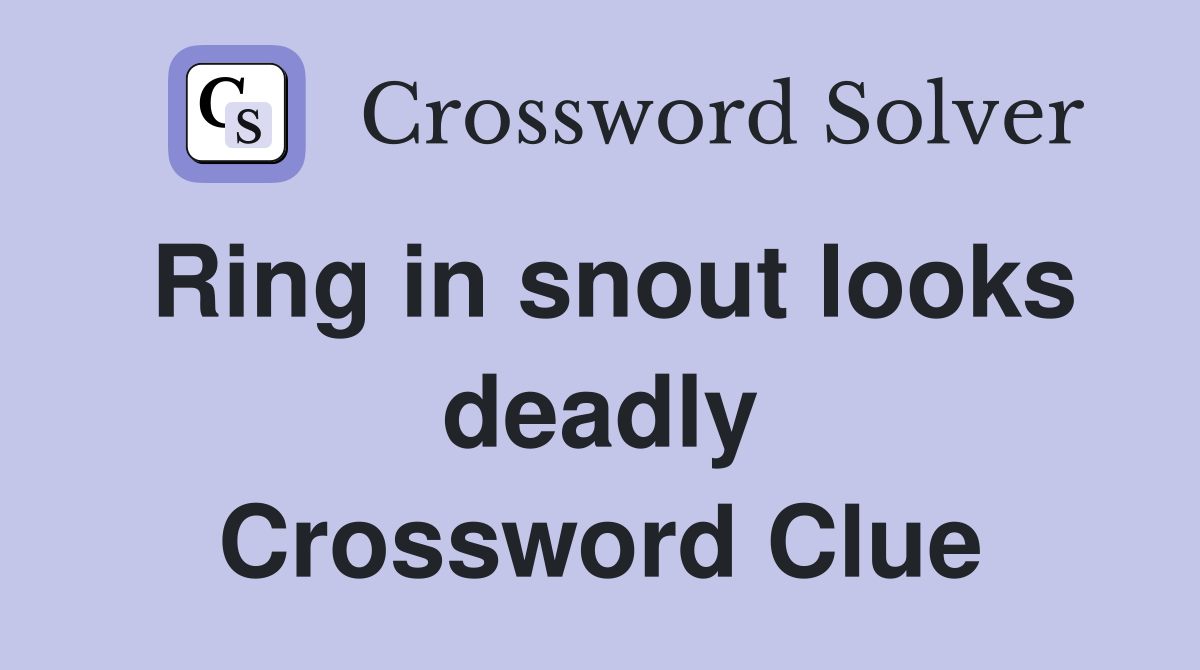 Ring in snout looks deadly Crossword Clue