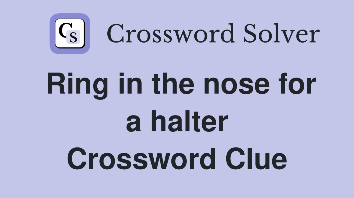 Ring in the nose for a halter Crossword Clue