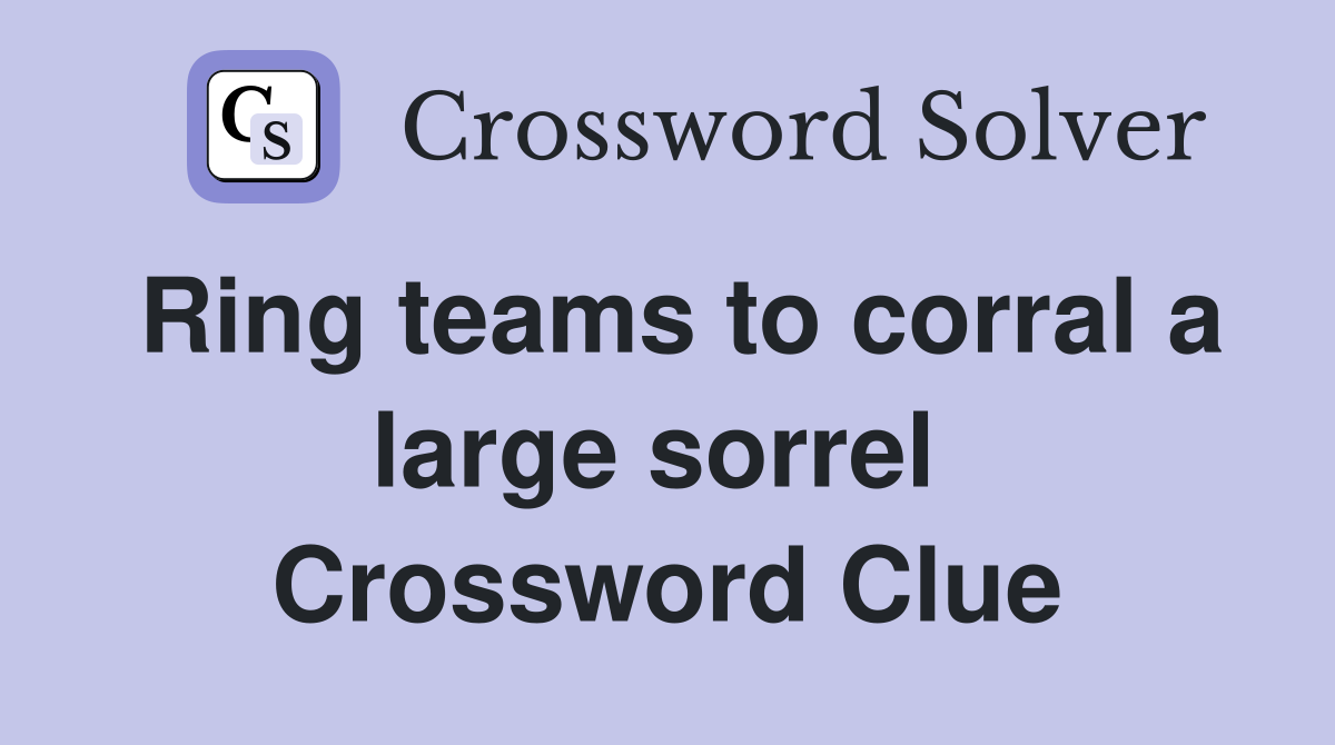 Ring teams to corral a large sorrel  Crossword Clue