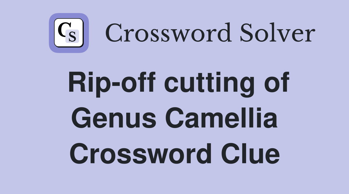 Rip-off cutting of Genus Camellia Crossword Clue