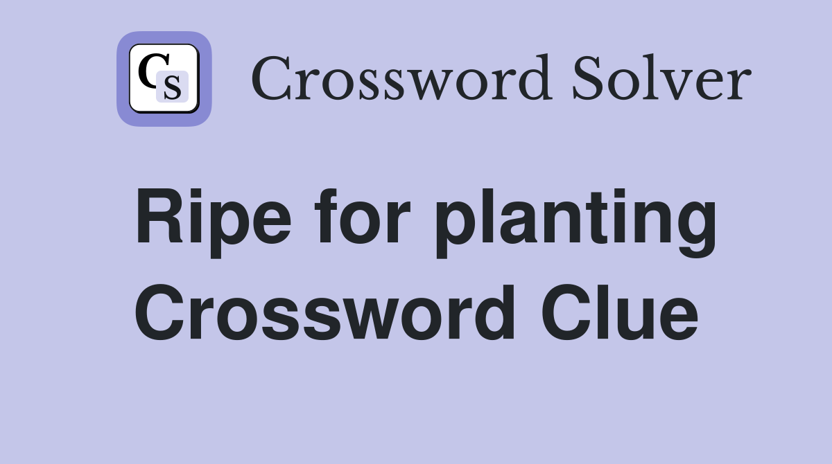 Ripe for planting Crossword Clue