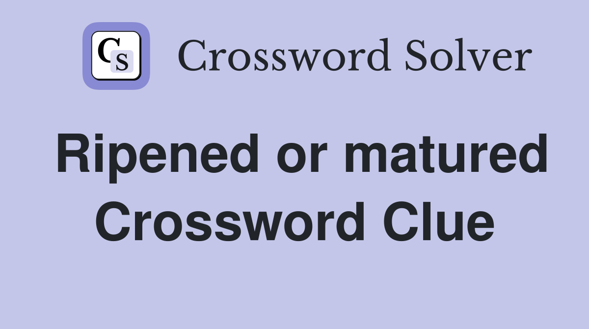 Ripened or matured Crossword Clue