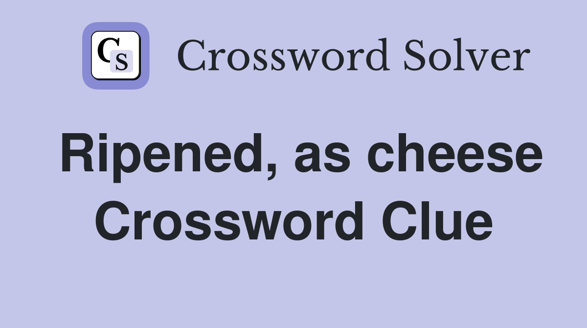 Ripened, as cheese Crossword Clue