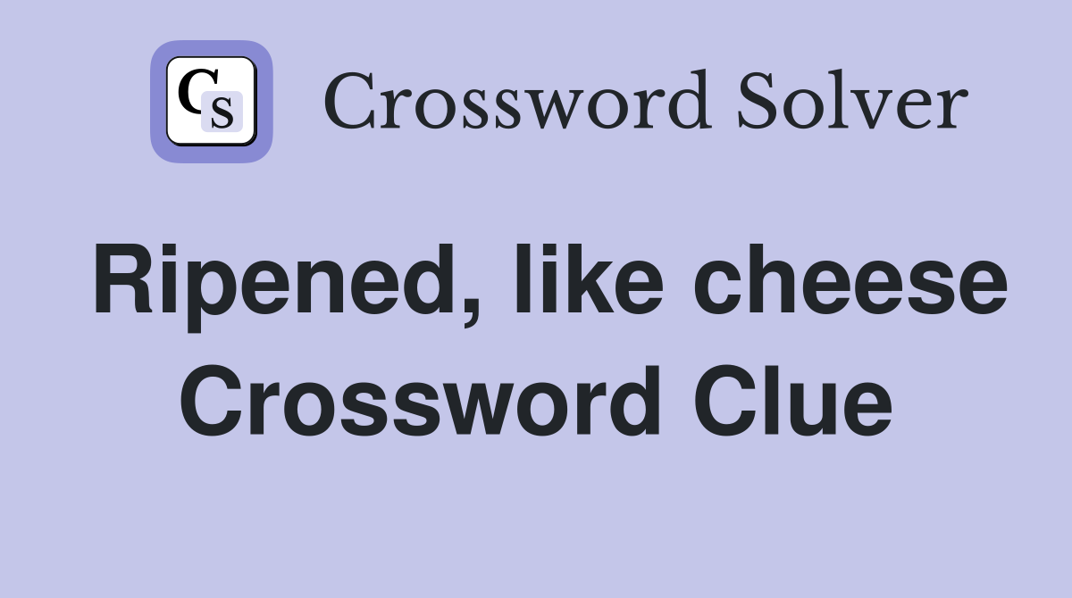 Ripened, like cheese Crossword Clue