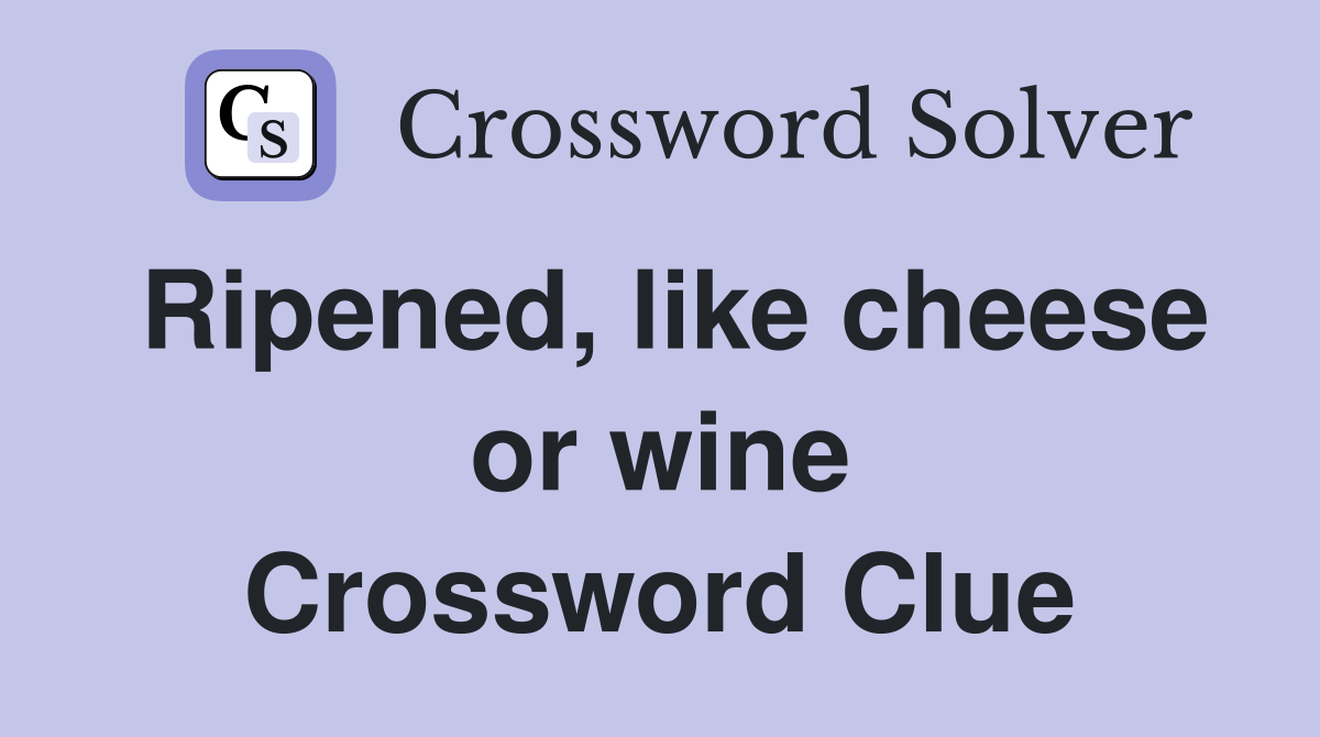 Ripened, like cheese or wine Crossword Clue