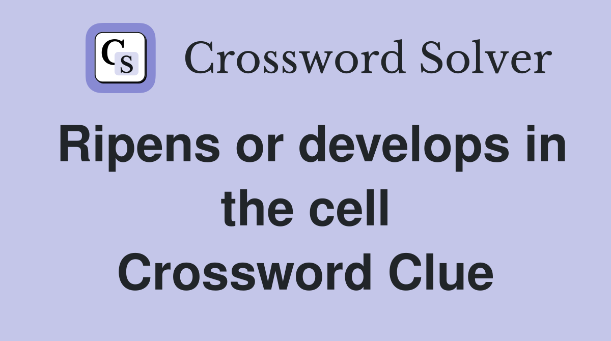 Ripens or develops in the cell Crossword Clue