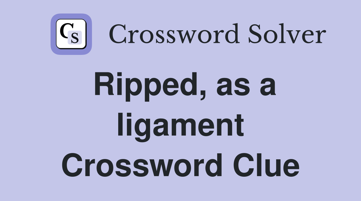Ripped, as a ligament Crossword Clue