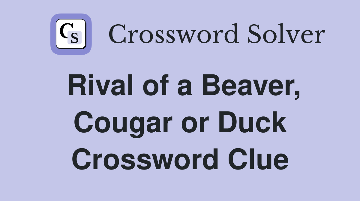 Rival of a Beaver, Cougar or Duck Crossword Clue