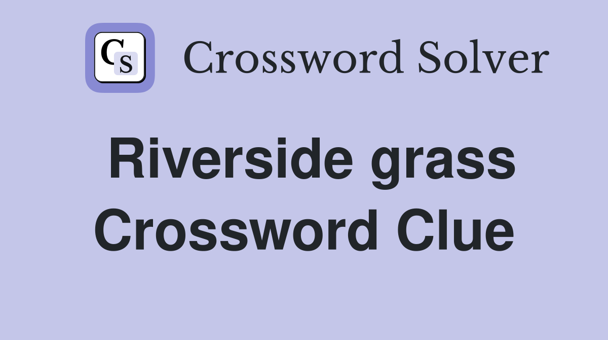 Riverside grass Crossword Clue