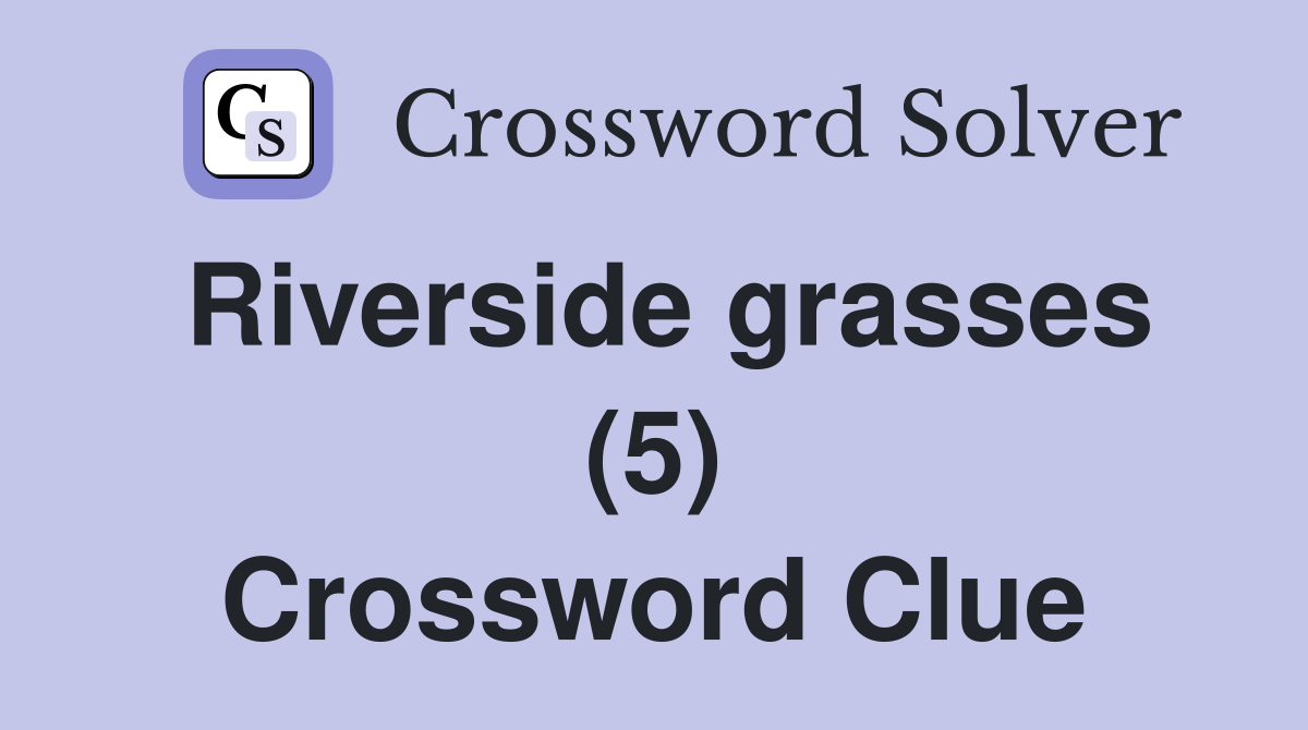 Riverside grasses (5) Crossword Clue