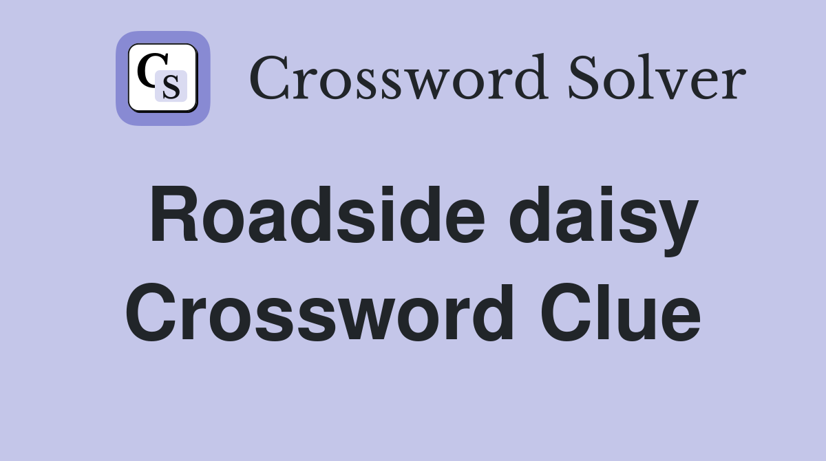 Roadside daisy Crossword Clue