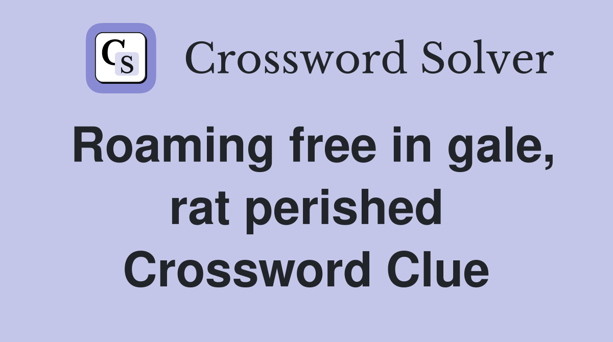Roaming free in gale, rat perished Crossword Clue