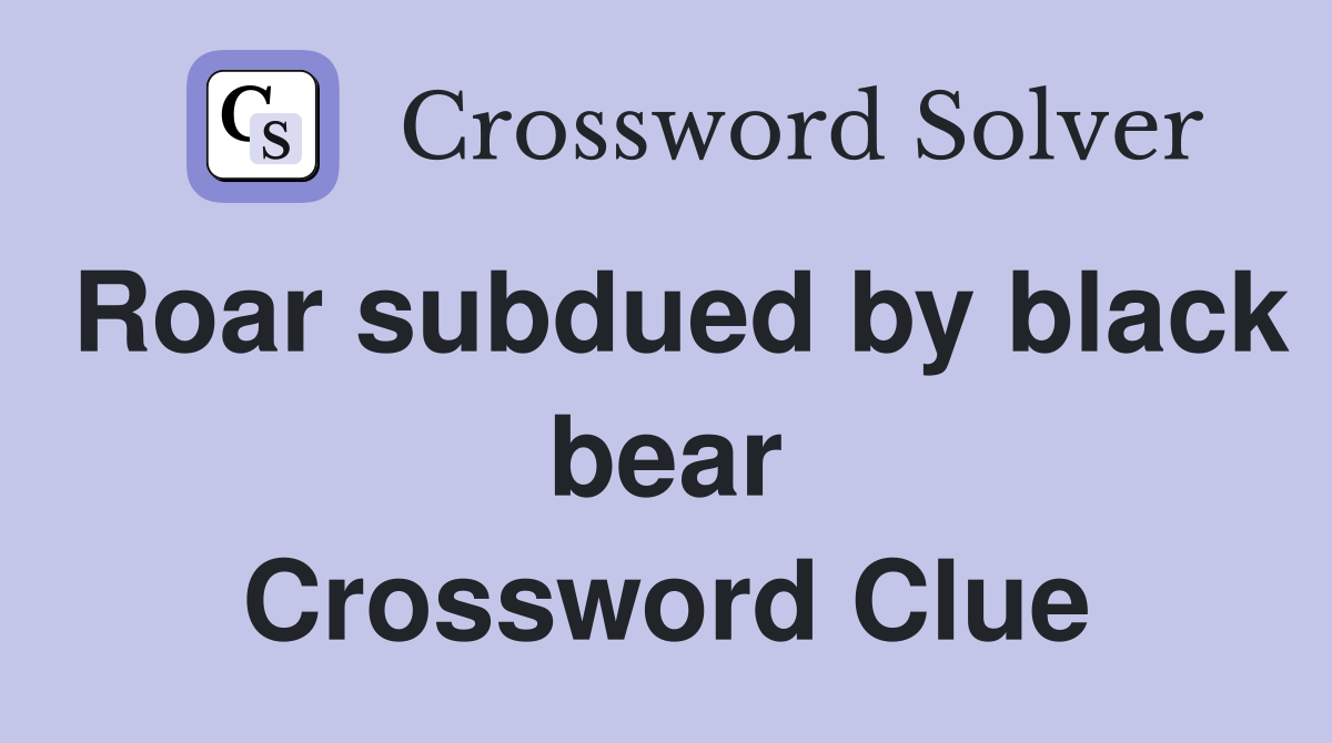Roar subdued by black bear Crossword Clue