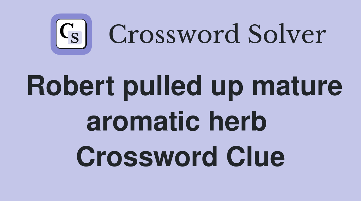 Robert pulled up mature aromatic herb  Crossword Clue