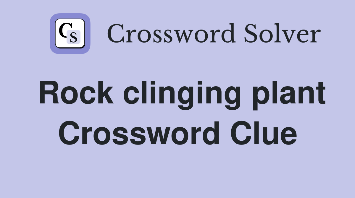Rock clinging plant Crossword Clue