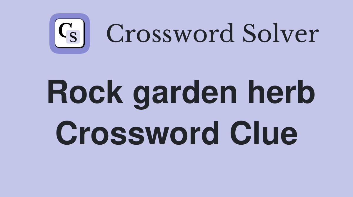 Rock garden herb Crossword Clue