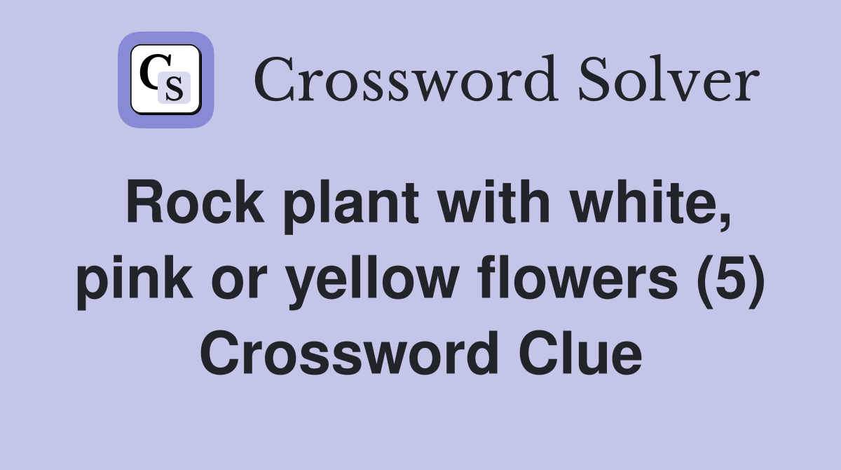 Rock plant with white, pink or yellow flowers (5) Crossword Clue