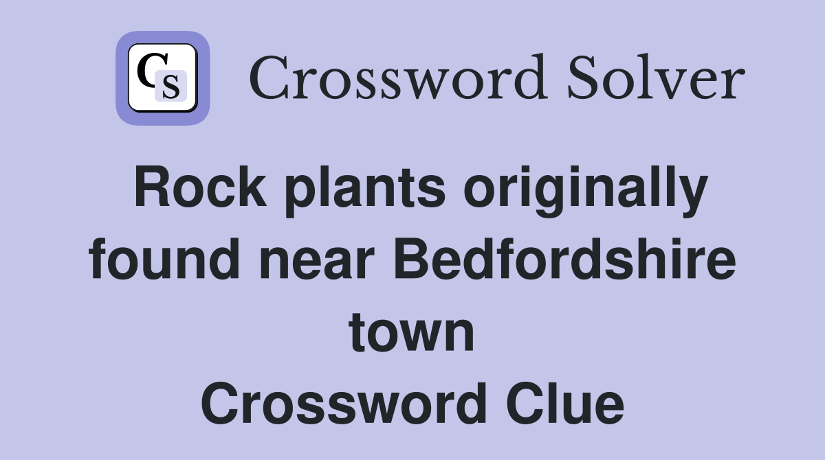 Rock plants originally found near Bedfordshire town Crossword Clue