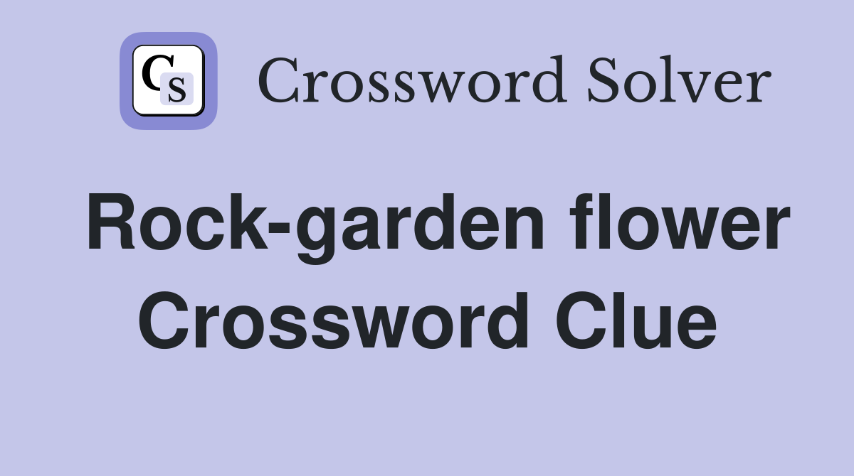Rock-garden flower Crossword Clue