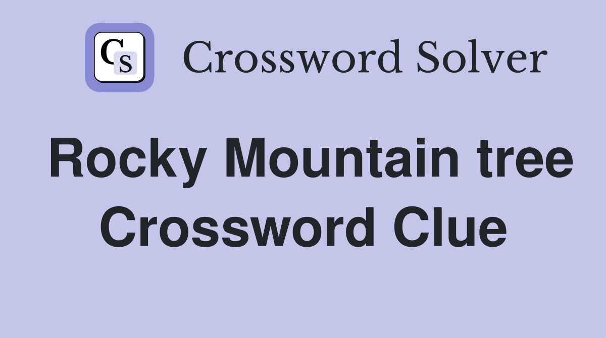 Rocky Mountain tree Crossword Clue