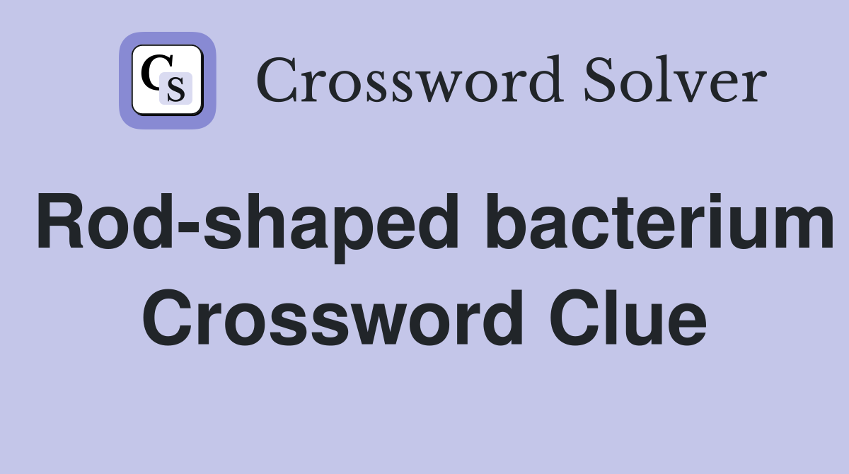 Rod-shaped bacterium Crossword Clue