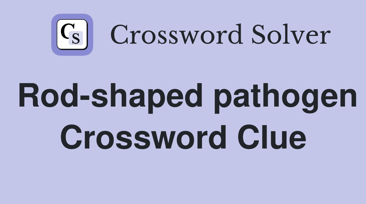 Rod-shaped pathogen Crossword Clue