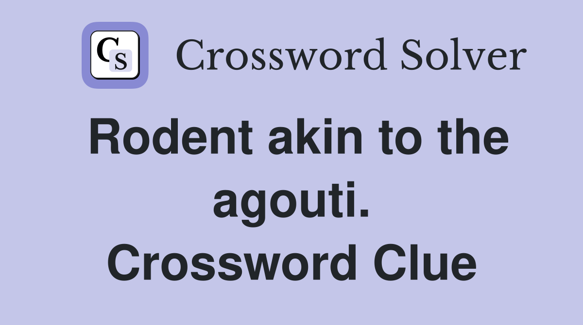 Rodent akin to the agouti. Crossword Clue