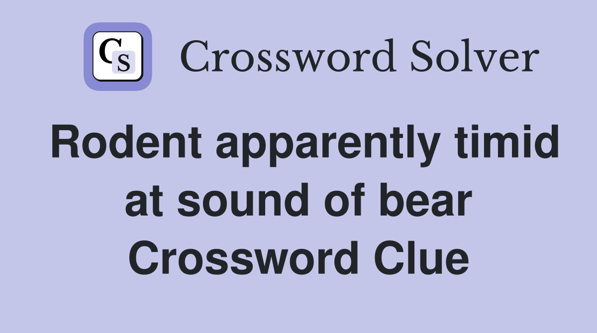 Rodent apparently timid at sound of bear Crossword Clue