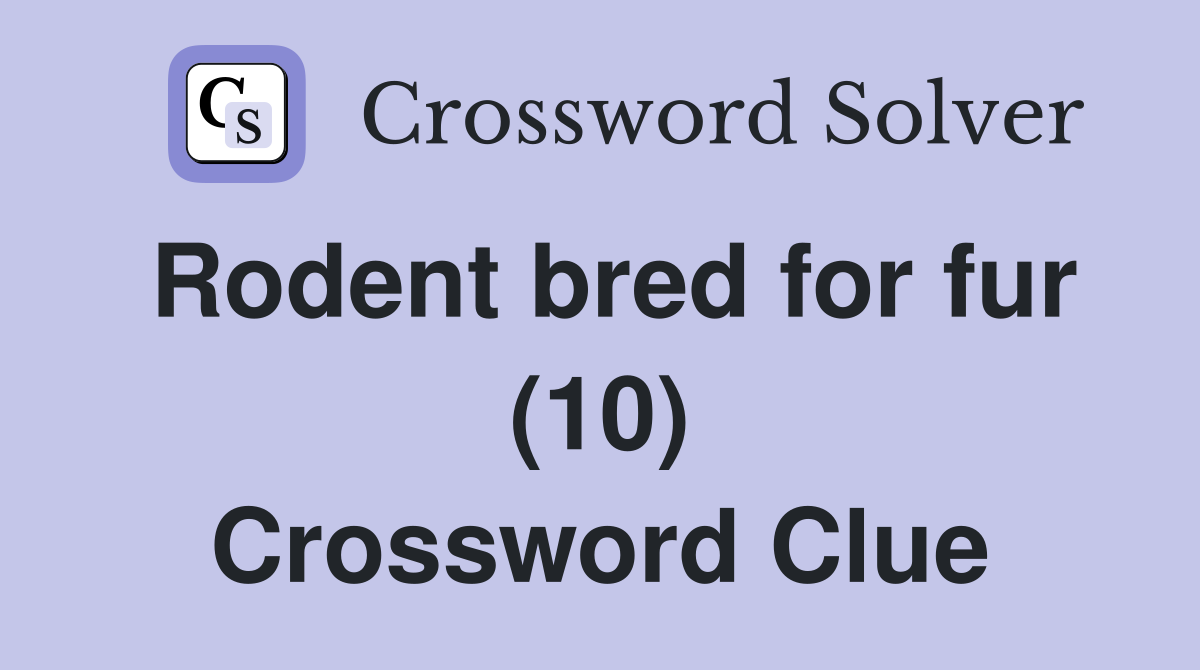 Rodent bred for fur (10) Crossword Clue