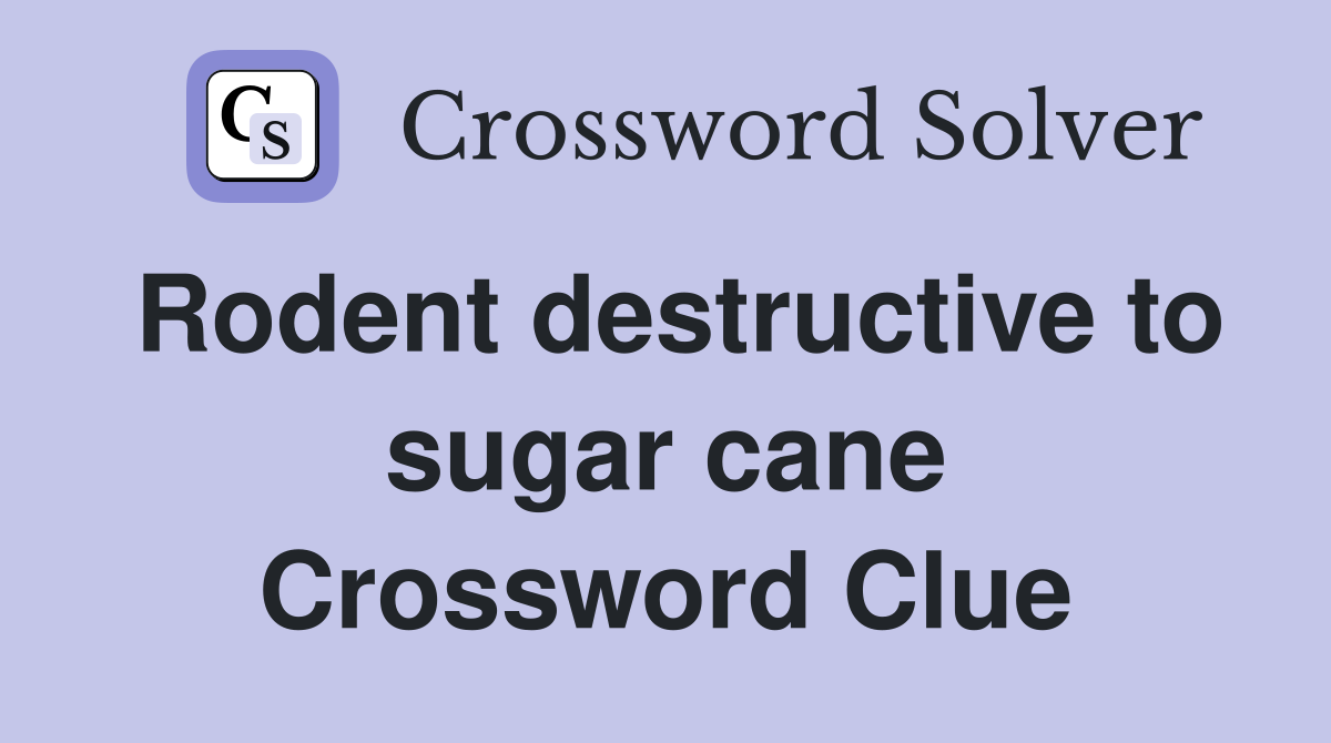 Rodent destructive to sugar cane Crossword Clue