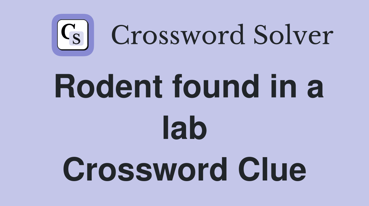 Rodent found in a lab Crossword Clue